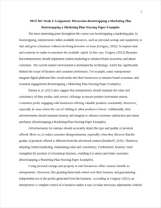 Bootstrapping a Marketing Plan-Nursing Paper Examples – page 2