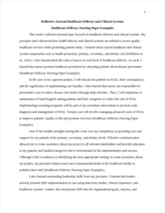 Healthcare Delivery-Nursing Paper Examples – page 2