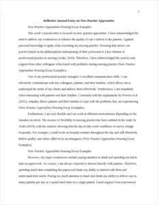 New Practice Approaches-Nursing Essay Examples – page 2