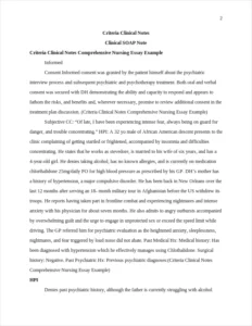Criteria Clinical Notes Comprehensive Nursing Essay Example – page 2