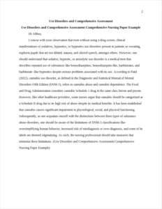 Use Disorders and Comprehensive Assessment Comprehensive Nursing Paper Example – page 2