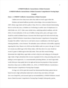 A PMHNP Reflective Journal about a Patient Encounter Comprehensive Nursing Paper Example – page 2