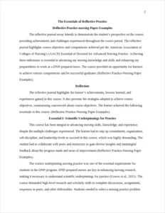 Reflective Practice-Nursing Paper Examples – page 2