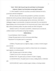 Patient Case Presentation-nursing Paper Examples – page 2
