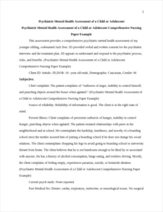 Psychiatric Mental Health Assessment of a Child or Adolescent Comprehensive Nursing Paper Example – page 2