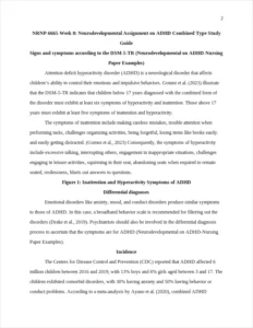 Neurodevelopmental on ADHD-Nursing Paper Examples – page 2