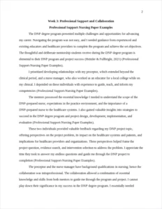Professional Support-Nursing Paper Examples – page 2