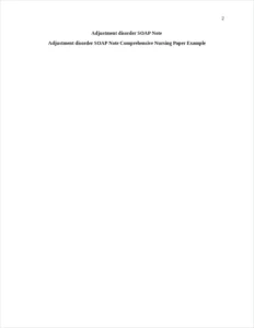 Adjustment disorder SOAP Note Comprehensive Nursing Paper Example – page 2