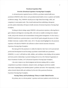 Practicum Experience-Nursing Paper Examples – page 2