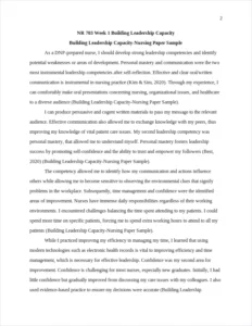 Building Leadership Capacity-Nursing Paper Sample – page 2