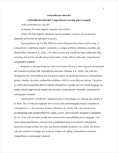 Schizoaffective Disorder Comprehensive nursing paper example – page 2