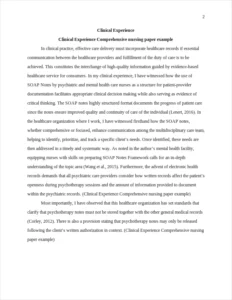 Clinical Experience Comprehensive nursing paper example – page 2