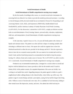 Social Determinants of Health-comprehensive nursing essay example – page 2