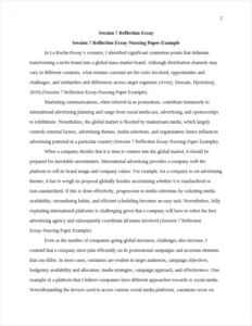 Session 7 Reflection Essay-Nursing Paper Example – page 2