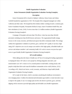 Health Organization Evaluation-Nursing Examples – page 2
