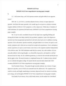 PMNHP SOAP Note-comprehensive nursing paper example – page 2