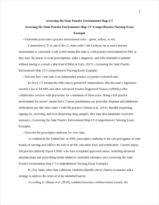 Assessing the State Practice Environment Map CT-Comprehensive Nursing Essay Example – page 2