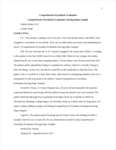 Comprehensive Psychiatric Evaluation-Nursing Paper Sample – page 2