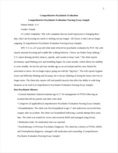 Comprehensive Psychiatric Evaluation Nursing Essay Sample – page 2