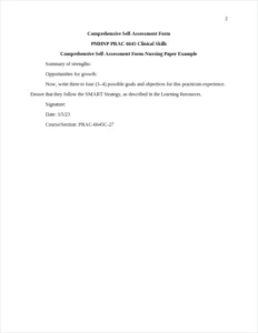 Comprehensive Self-Assessment Form-Nursing Paper Example – page 2