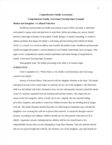 Comprehensive Family Assessment Nursing Paper Example – page 2