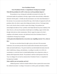 Nurse Practitioner Practice-A Comprehensive Nursing Essay Example – page 2
