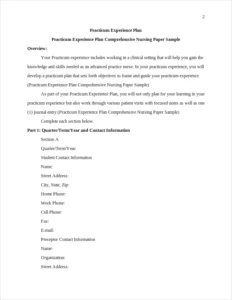 Practicum Experience Plan Comprehensive Nursing Paper Sample – page 2