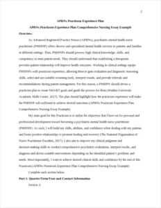 APRNs Practicum Experience Plan Comprehensive Nursing Essay Example – page 2