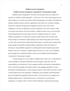 Healthcare project management Comprehensive Nursing Paper Example – page 2