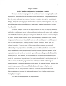 Project Timeline Comprehensive Nursing Paper Example – page 2