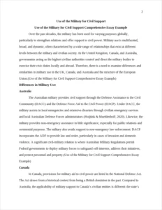 Use of the Military for Civil Support Comprehensive Essay Example – page 2