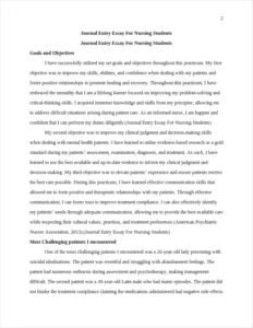 Journal Entry Essay For Nursing Students – page 2