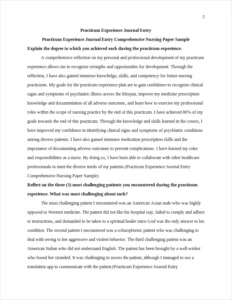 Practicum Experience Journal Entry Comprehensive Nursing Paper Sample – page 2
