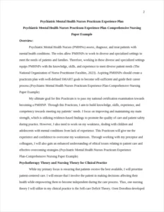Psychiatric Mental Health Nurses Practicum Experience Plan-Comprehensive Nursing Paper Example – page 2