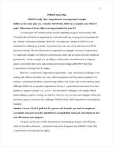 PMHNP Study Plan Comprehensive Nursing Paper Example – page 2