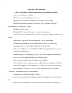 Urinary and Renal Worksheet Comprehensive Nursing Paper Example – page 2
