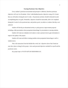 nursing practicum class objectives – page 2