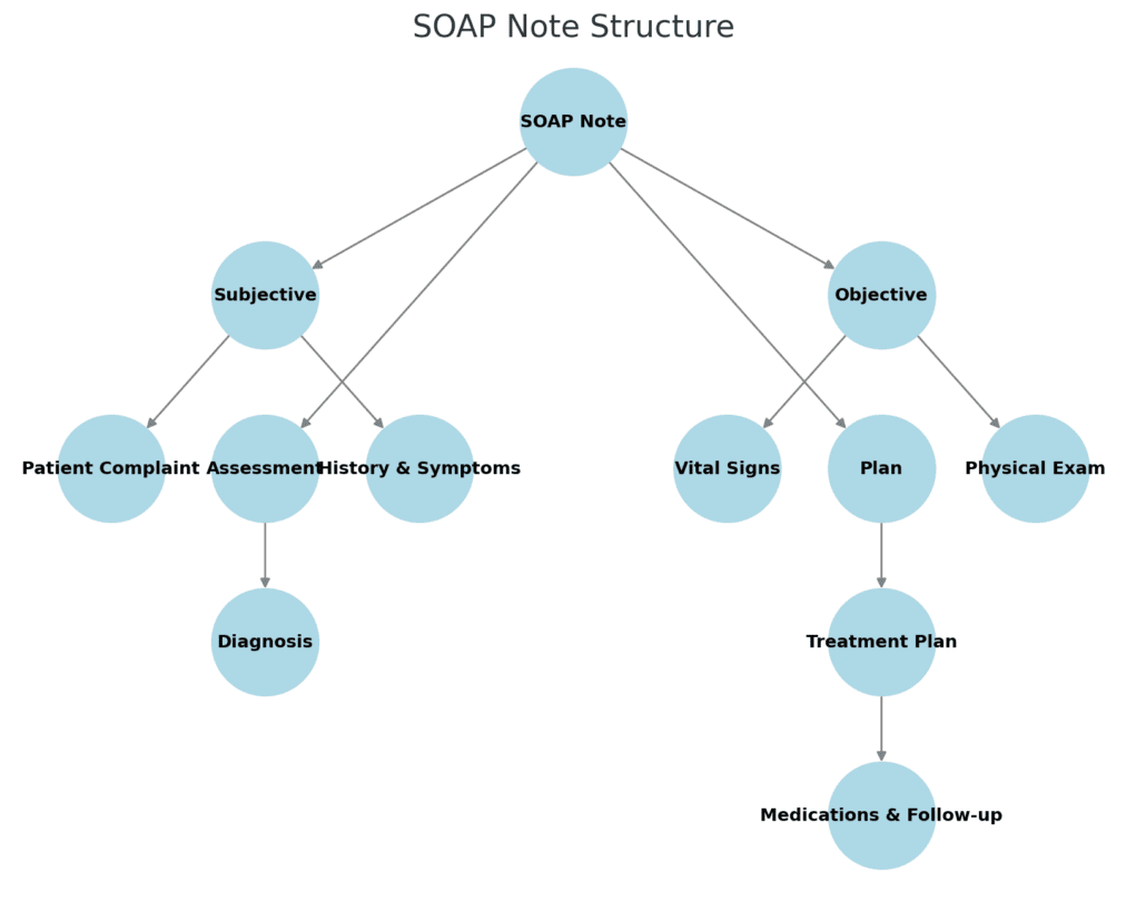 Sleep Ergonomics SOAP Note Example. 