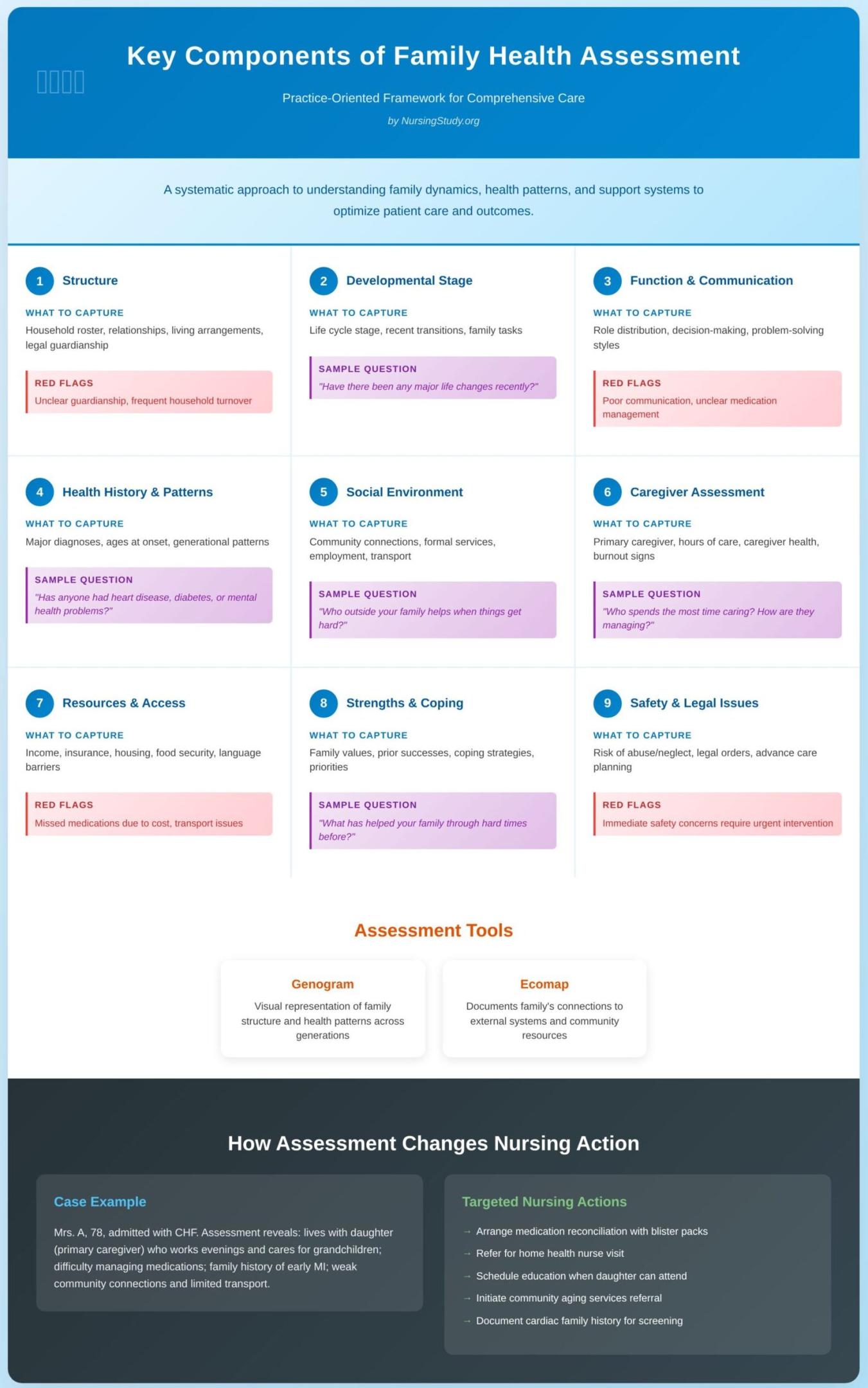 Family Health Assessment in Family Nursing