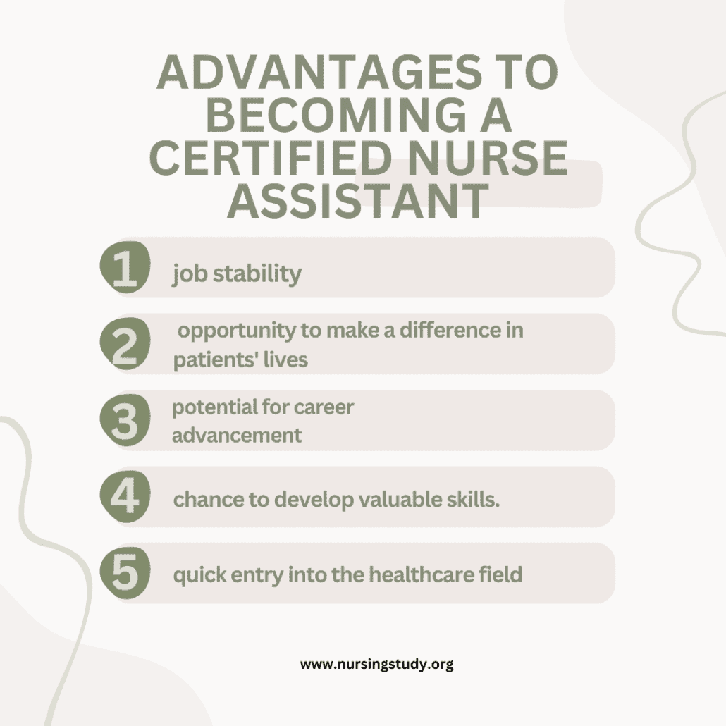 Unveiling the World of Certified Nurse Assistant: Roles, Requirements, and Career Insights