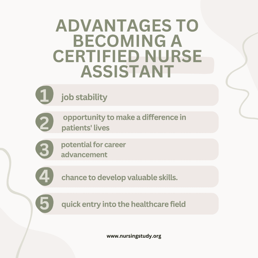 Unveiling the World of Certified Nurse Assistant: Roles, Requirements, and Career Insights