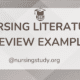 nursing literature review example