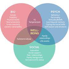 Suchman's Psychosocial Model Essay Sample