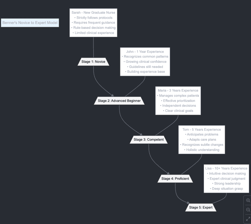 Patricia Benner Novice to Expert Theory with examples