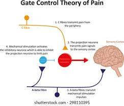 Gate Control Theory