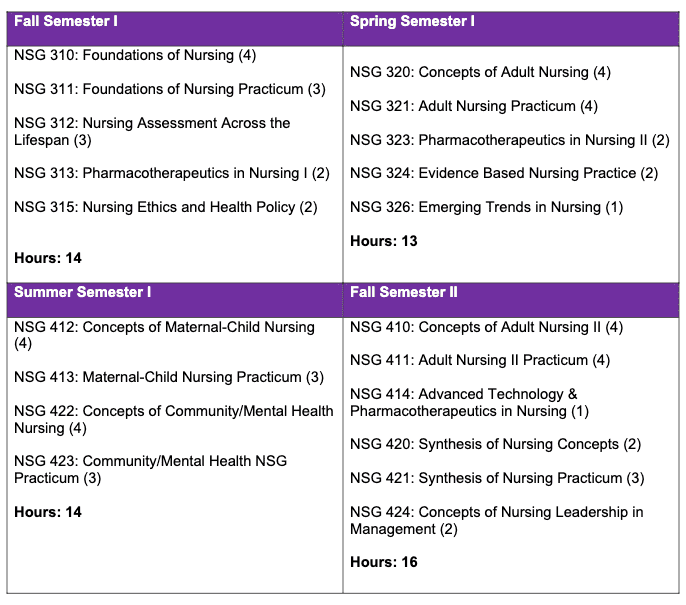 The Comprehensive Guide to ABSN Program (Accelerated Bachelor of Science in Nursing) : 19 Steps to Potential Success