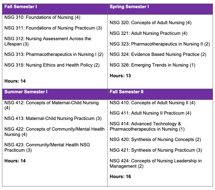The Comprehensive Guide to ABSN Program (Accelerated Bachelor of Science in Nursing) : 19 Steps to Potential Success
