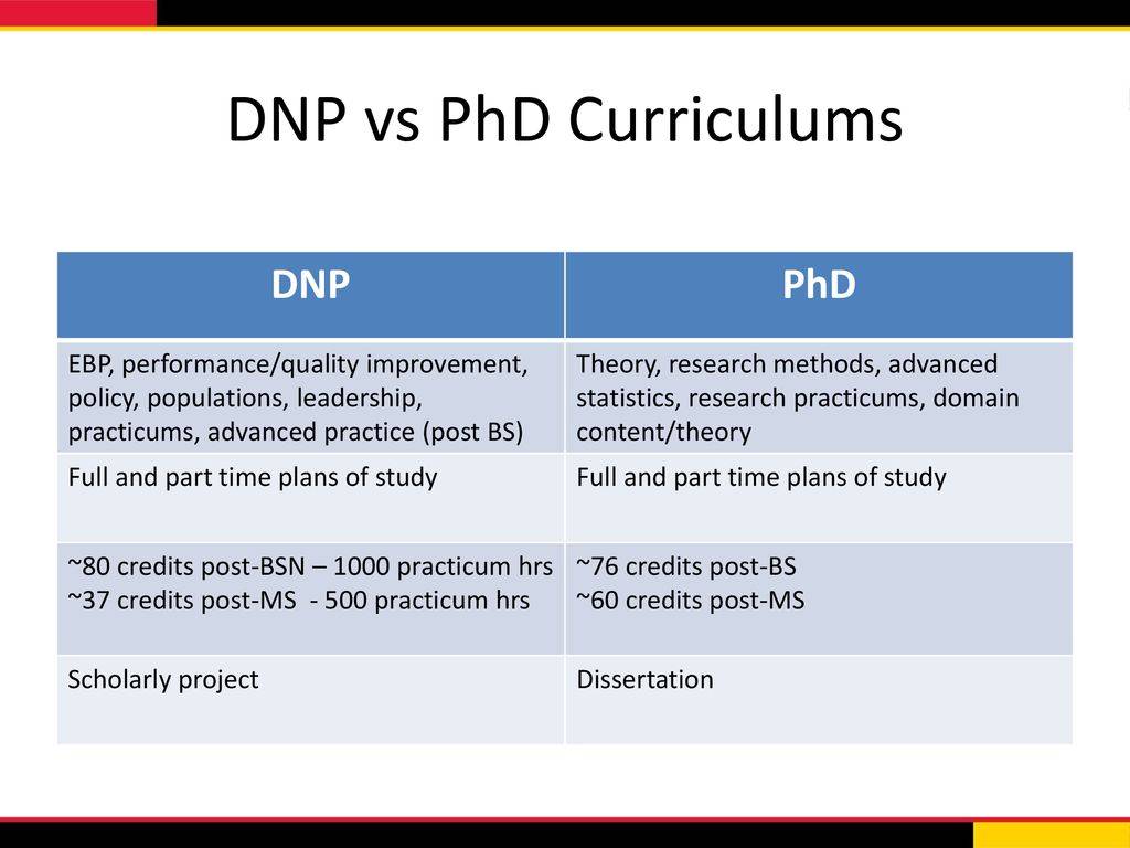 Navigating the DNP and PhD Program: A 19 Steps Comprehensive Guide