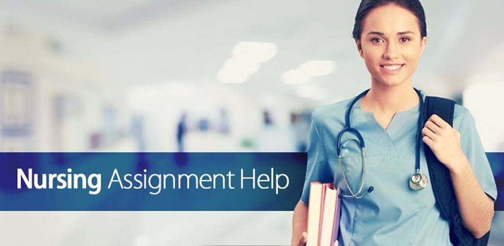 theoretical frameworks for DNP projects