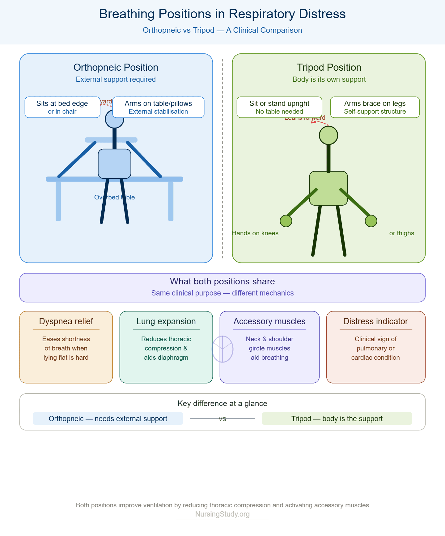 Orthopneic Position